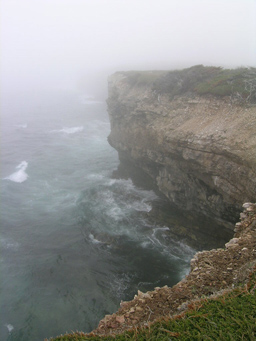 nfld